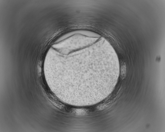 X0000116800264201001291546