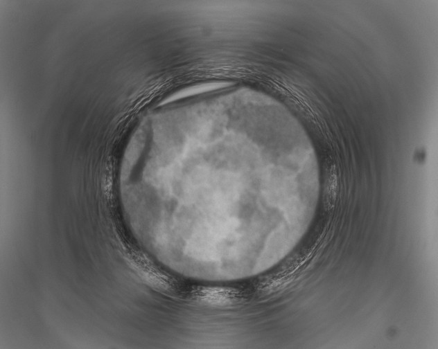 X0000116800268201001291546