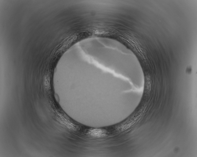 X0000116800269201001291546