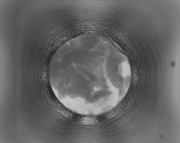 X0000116800270201001291546