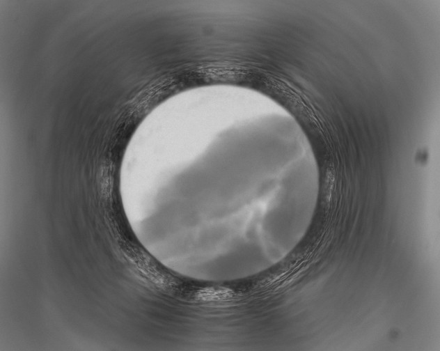 X0000116800271201001291546