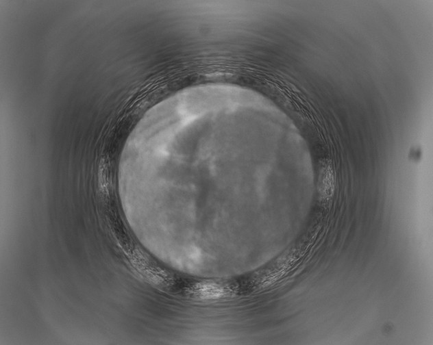 X0000116800272201001291546