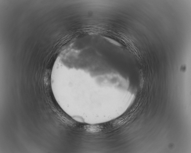 X0000116800273201001291546