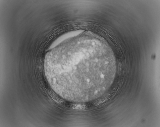 X0000116800274201001291546