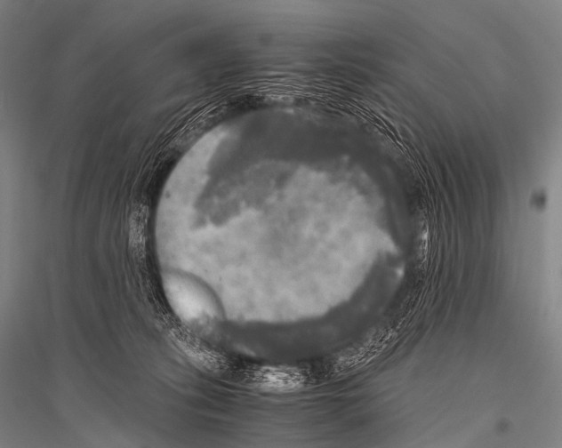X0000116800275201001291546