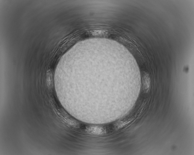 X0000116800276201001291546