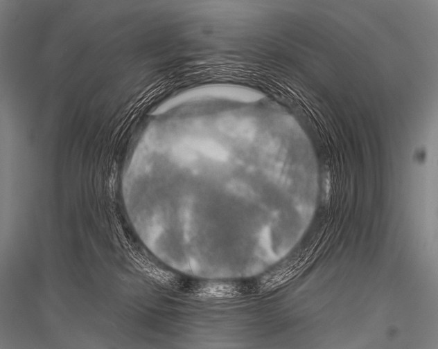 X0000116800278201001291546