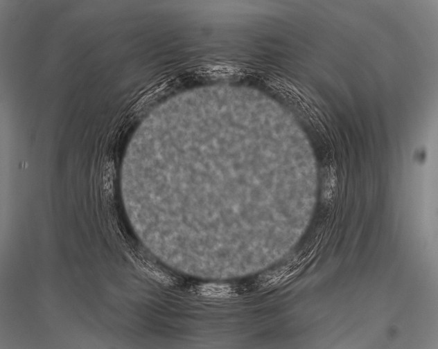 X0000116800279201001291546