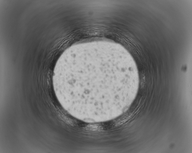 X0000116800280201001291547
