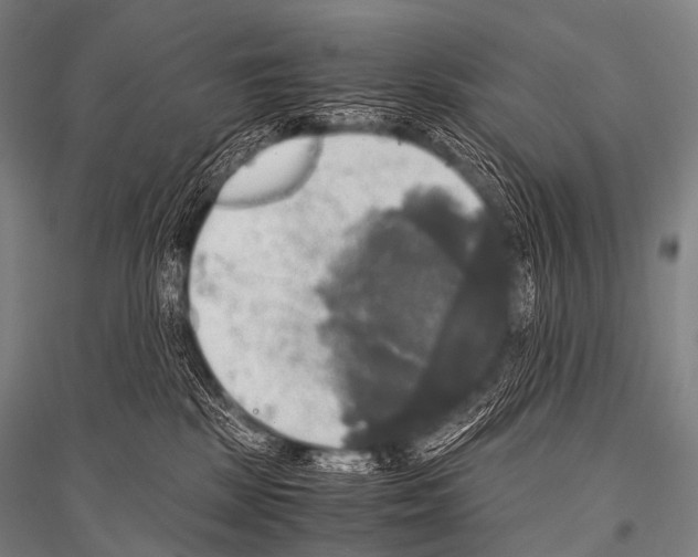X0000116800281201001291547
