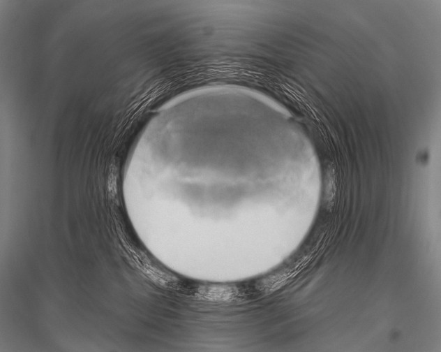X0000116800282201001291547