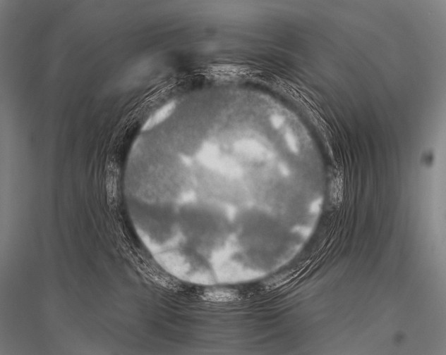 X0000116800283201001291547