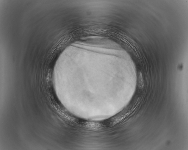 X0000116800284201001291547