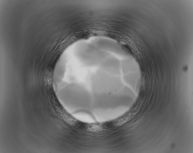 X0000116800285201001291547