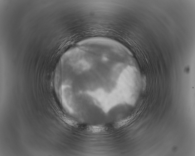 X0000116800286201001291547