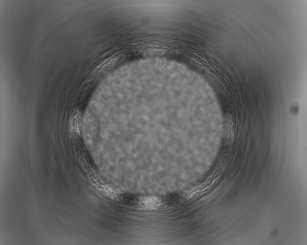 X0000116800287201001291547