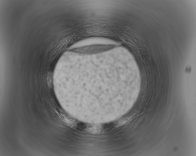 X0000116800288201001291547