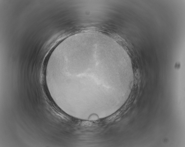 X0000116800290201001291546