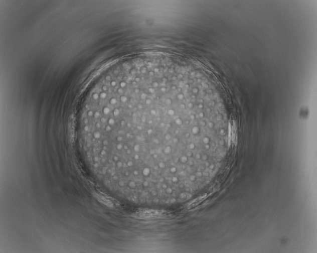 X0000116800291201001291546