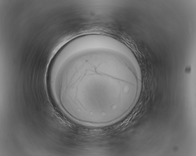 X0000116800292201001291546