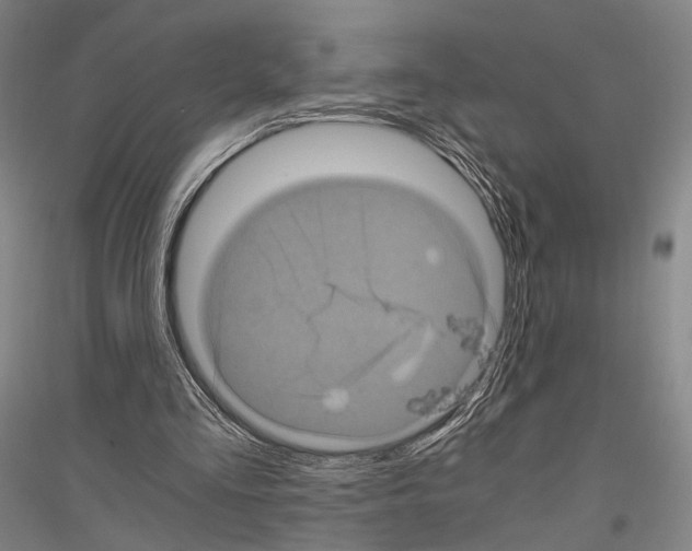 X0000116800293201001291546