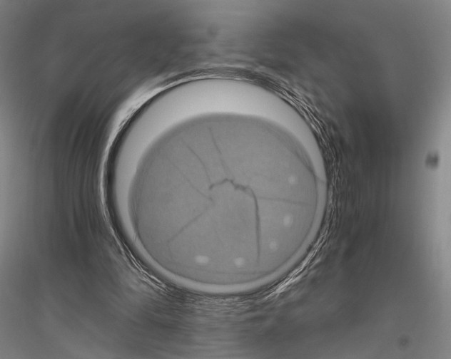 X0000116800294201001291546