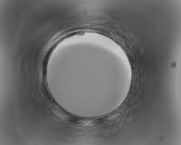 X0000116800295201001291546
