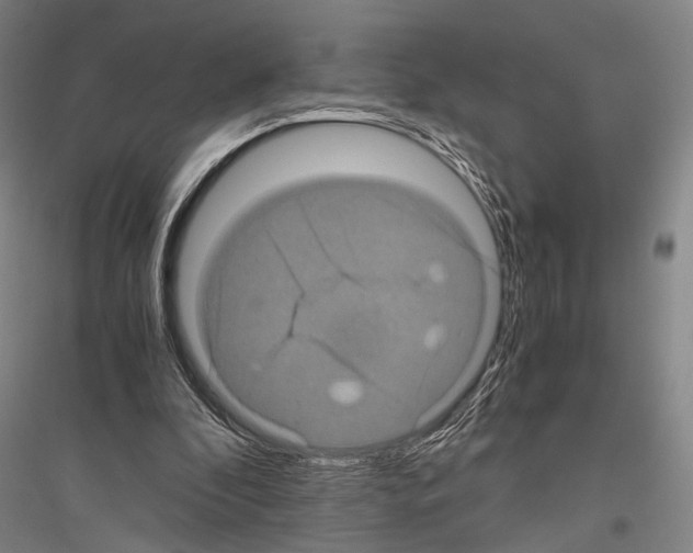 X0000116800296201001291546