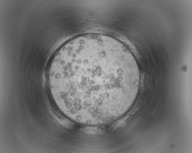 X0000116800298201001291546