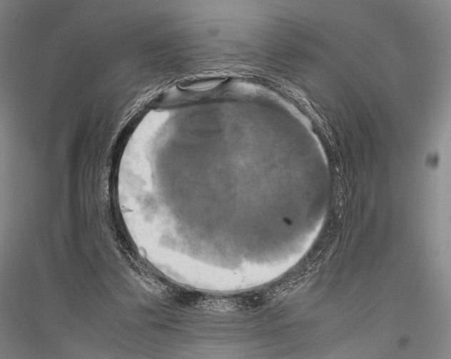 X0000116800299201001291546