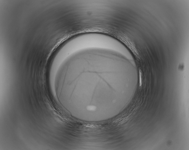 X0000116800300201001291546