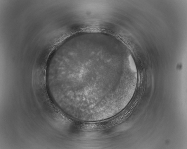 X0000116800301201001291546