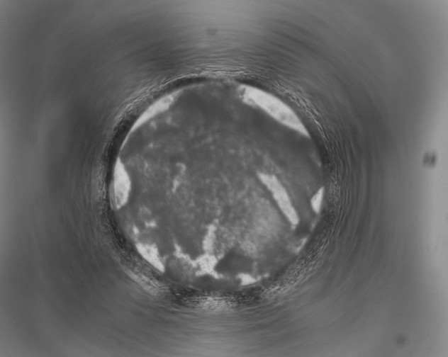 X0000116800303201001291546