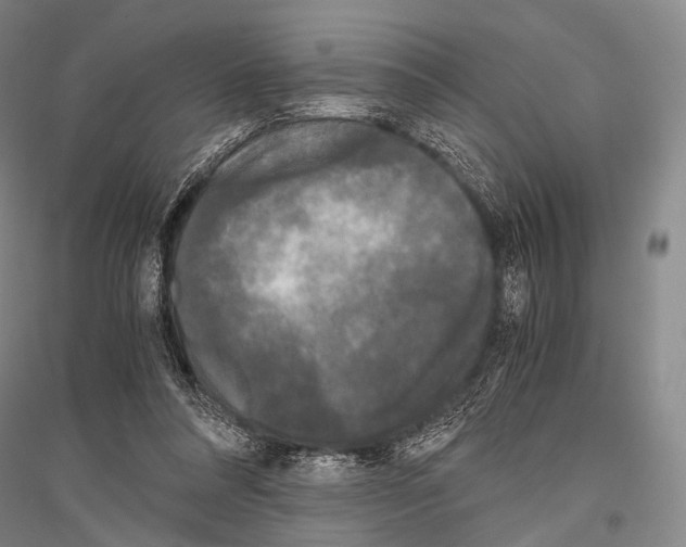 X0000116800304201001291546