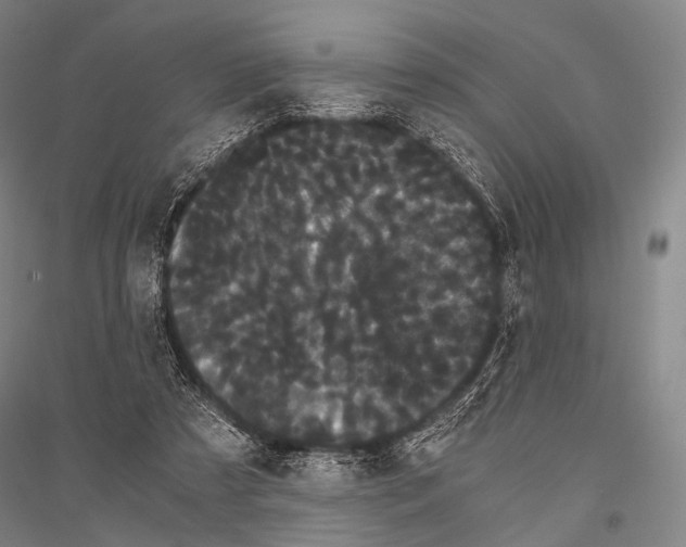 X0000116800305201001291546