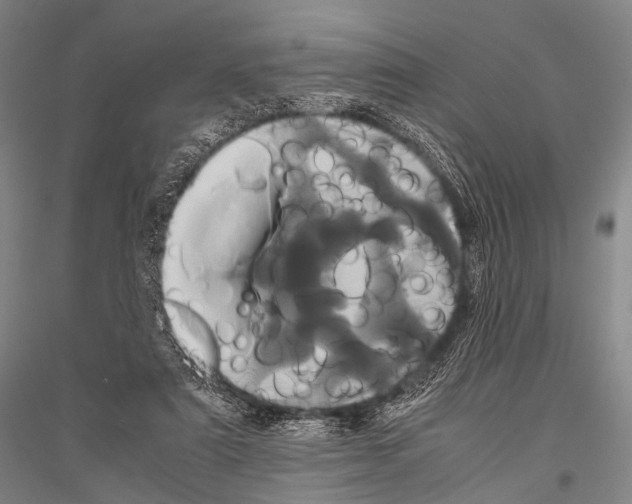 X0000116800307201001291546