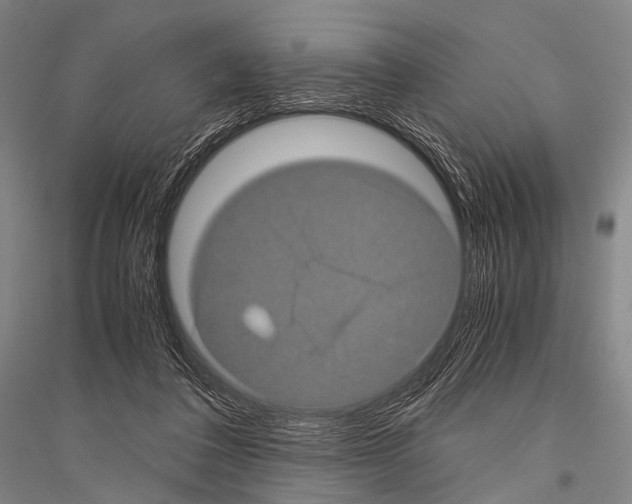 X0000116800308201001291546