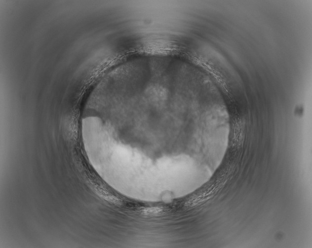 X0000116800309201001291546