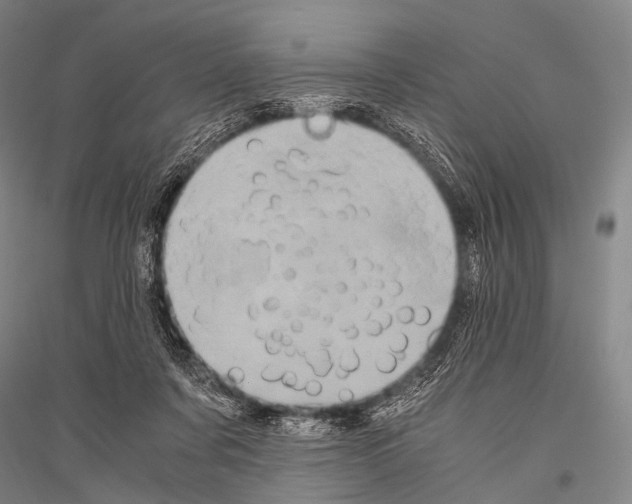 X0000116800311201001291546