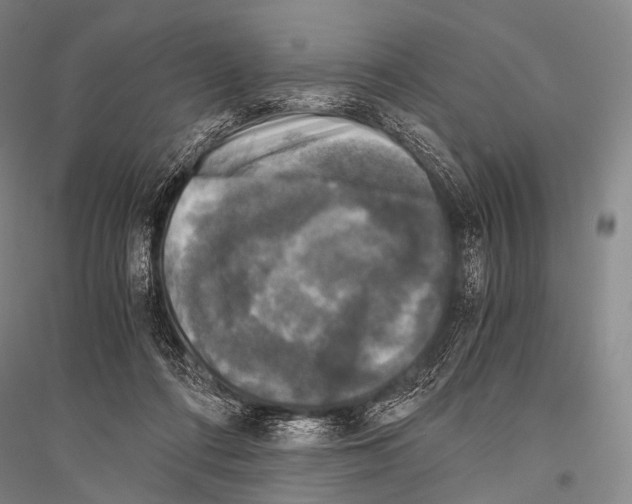 X0000116800312201001291546