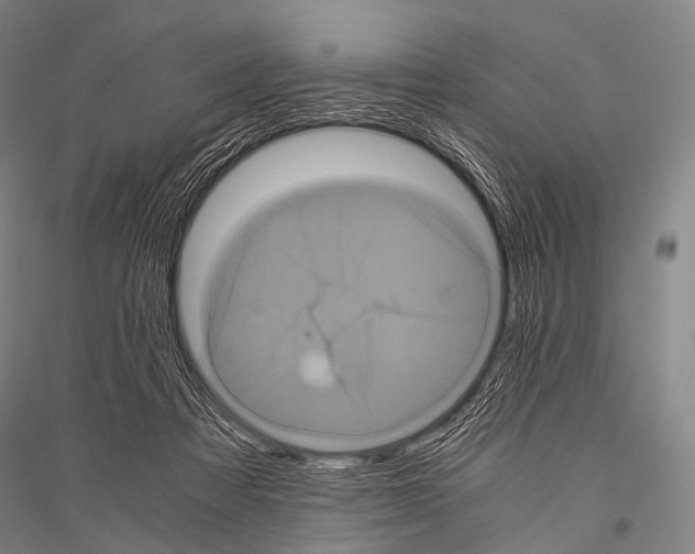X0000116800313201001291546