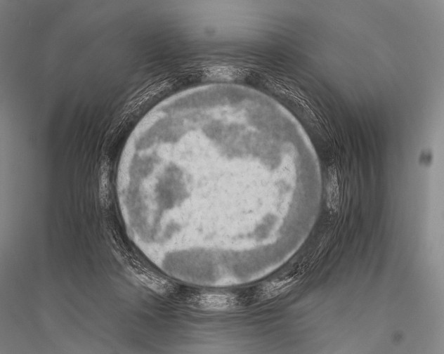 X0000116800314201001291546