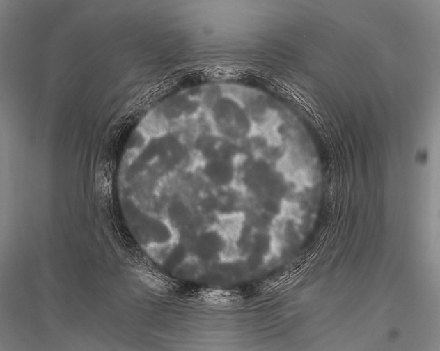 X0000116800315201001291546