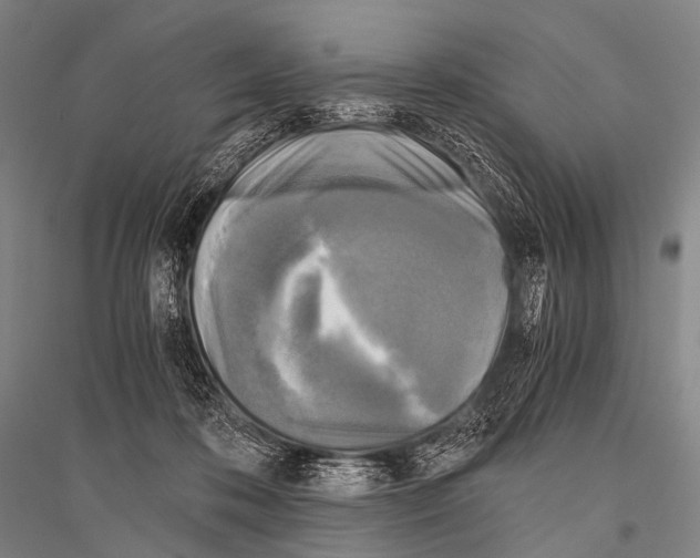 X0000116800316201001291546
