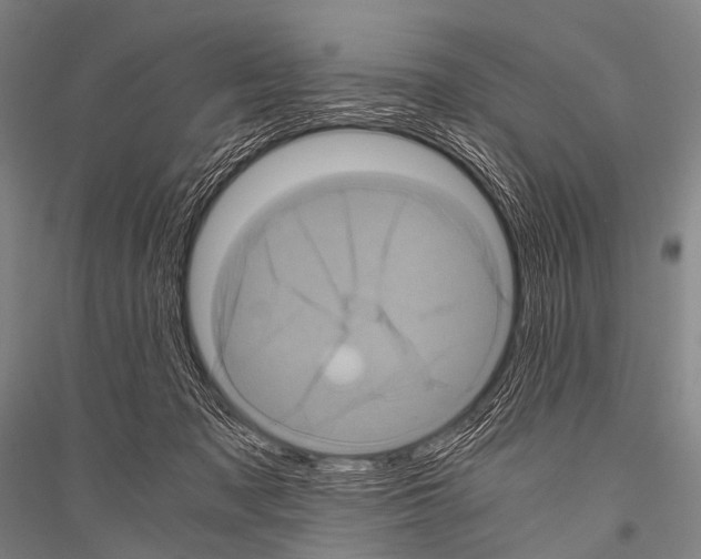 X0000116800317201001291546
