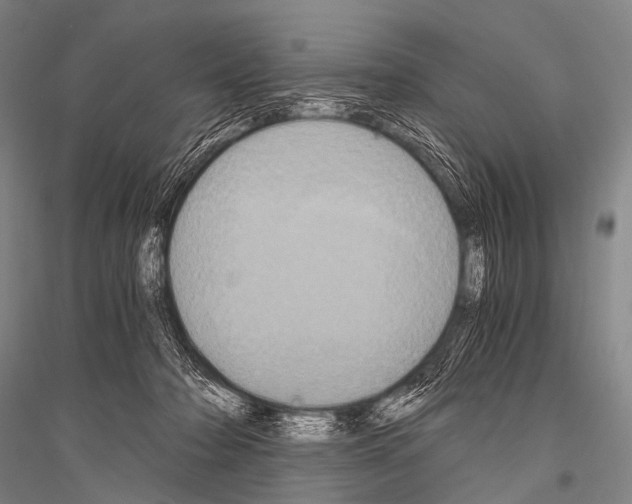 X0000116800318201001291546