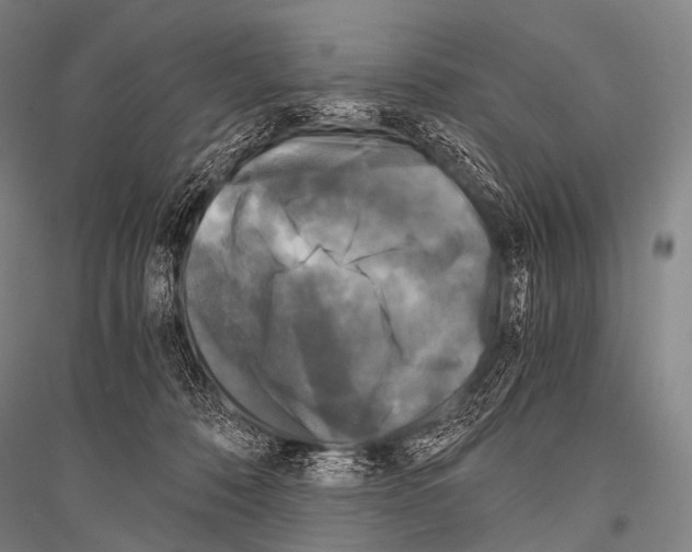 X0000116800320201001291546
