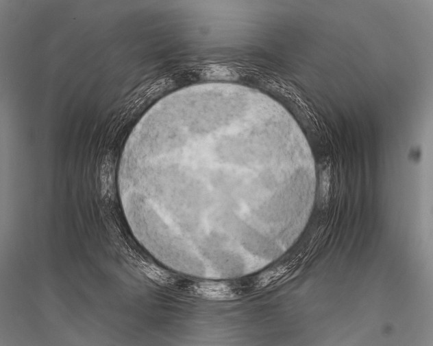 X0000116800322201001291546