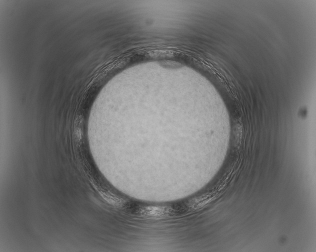X0000116800323201001291545
