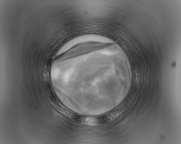 X0000116800324201001291545